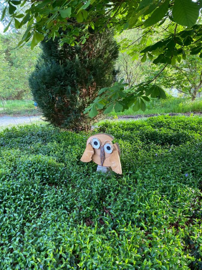 Urlaub In Der Natur Lüdenscheid Extérieur photo