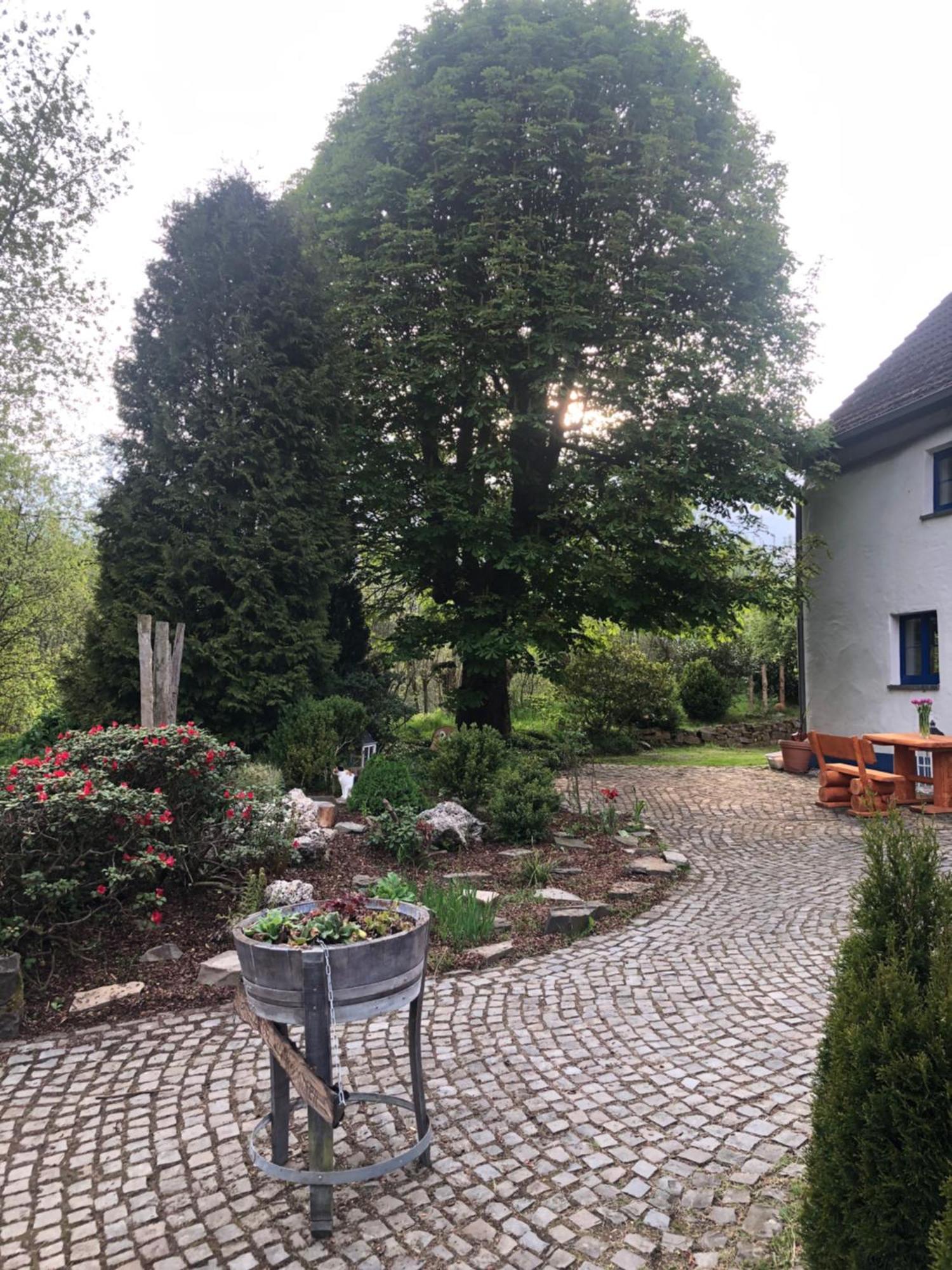 Urlaub In Der Natur Lüdenscheid Extérieur photo